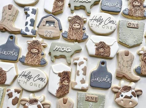 Cow Themed Cookies, Highland Cow Cookies, Cow Cookies, First Birthday Cookies, Hereford Cows, Theme Cookies, Dream Reality, Birthday Cookie, Cowboy Birthday Party