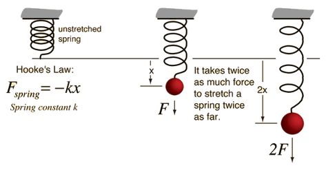 Elastic Potential Energy and Hooke's Law (Springs) Elasticity Physics, Physics Electricity, Medical Physics, Physics Revision, Electricity And Magnetism, Physics Mechanics, Gcse Physics, General Chemistry, As Level