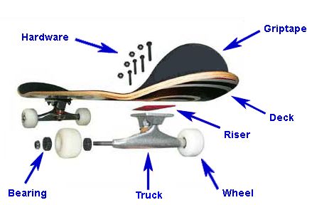 6 Tips For Buying a Beginner Skateboard Scate Bords, Skateboarding Tips, Skateboard Ideas, Skater Boi, Classic Skateboard, Skate Vibes, Beginner Skateboard, Skateboard Videos, Skateboarding Tricks