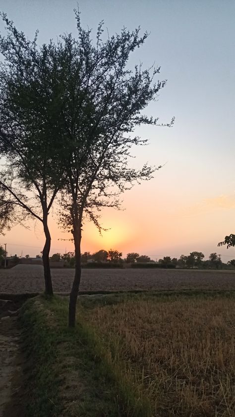 Beautiful Evening in Village Night Village Aesthetic, Night Village Snap, Evening Snapchat Stories, Sky Pictures Real Life Snapchat, Village Snapchat Story, Village Snap, Village Pic, Evening Snap, Village Vibes