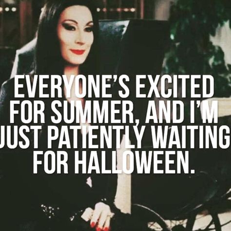 Alwaysssss 🖤🌙 . . . #halloween #happyhalloween #april #trickortreat #trickortreating #season #seasons #leaves #leaves🍁 #spooky #creepy… Waiting For Halloween, Elvira Mistress Of The Dark, Halloween Memes, Halloween Queen, Halloween Countdown, Sukkot, Halloween Quotes, Halloween Horror, Holidays Halloween