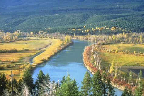 Natural levees are banks of sand and silt along stream bank built by deposition in small  increments during successive floods. Oceanography, Meteorology, Earth Science, Geology, Astronomy, Banks, Pie, Science, Water