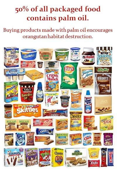 GO GREEN TIP #112: How to Avoid Products With Palm Oil Eco Food, Save Planet, Year 8, Green Tips, Zero Waste Living, Packaged Food, Palm Oil Free Products, Oil Uses, Diet Food