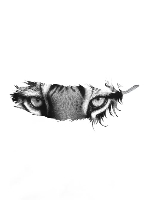 Panther Tatoos Men, Black Panther Eyes Tattoo, Leopard Eyes Tattoo, Tiger Geometric Tattoo, Lion Eyes Drawing, Panther Tattoo Men, Panther Face Tattoo, Tiger Eyes Tattoo Design, Black Panther Tattoos