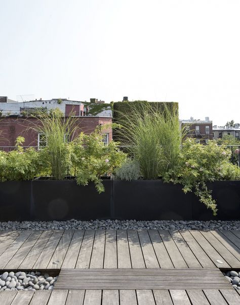 Ask the Expert: Roof Garden Basics with Designer Julie Farris - Gardenista Terasse Ideas, Garden Basics, Roof Garden Design, Lots Of Plants, Rooftop Design, Rooftop Terrace Design, Rooftop Patio, Desain Lanskap, Have Inspiration