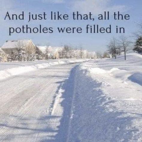 Snow Day Meme, Canadian Stereotypes, Winter Humor, Snow Humor, Canadian Things, Winter Quotes, First Relationship, Daily Funny, Morning Humor