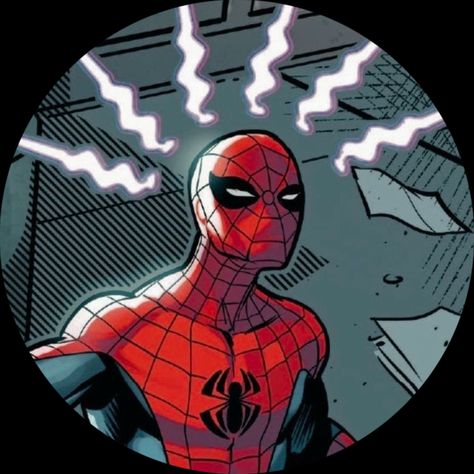 Spider Man Pfp, The Spider, Spiderman, Flag, Color