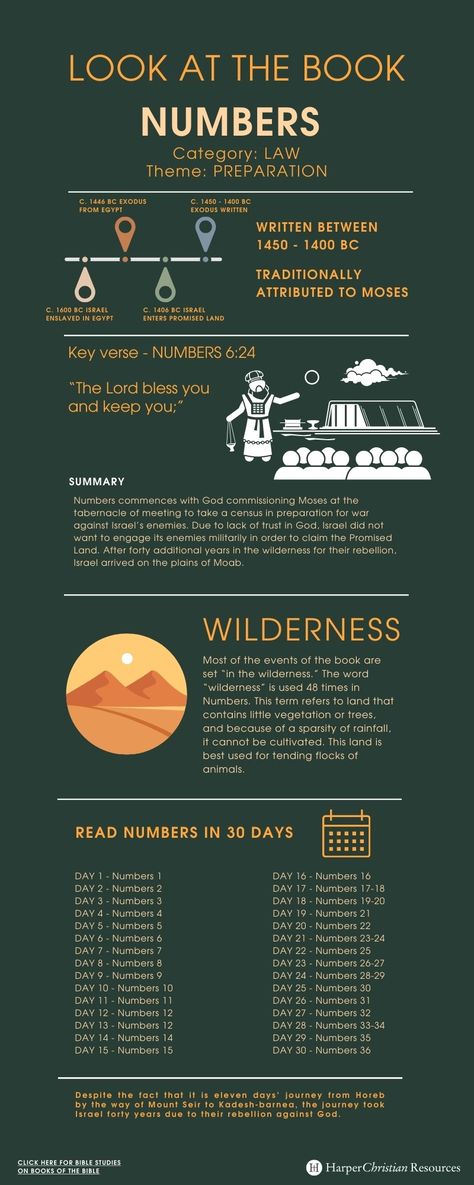 Look at the Book: Numbers [Infographic] | Bible Gateway News & Knowledge Book Of Numbers Bible Study, Numbers Bible Study, Numbers Bible, Bible Infographics, Biblical Numbers, Numbers Infographic, Bible Summary, Book Of Numbers, Inductive Bible Study