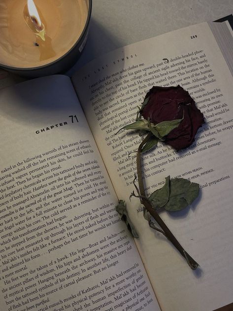 How I See My Best Friend Aesthetic, Liva Uz, Flowers Dark Aesthetic, Books And Flowers, Aesthetic Feminine, How Soon Is Now, Rose Quotes, Flowers Dark, Giving Flowers