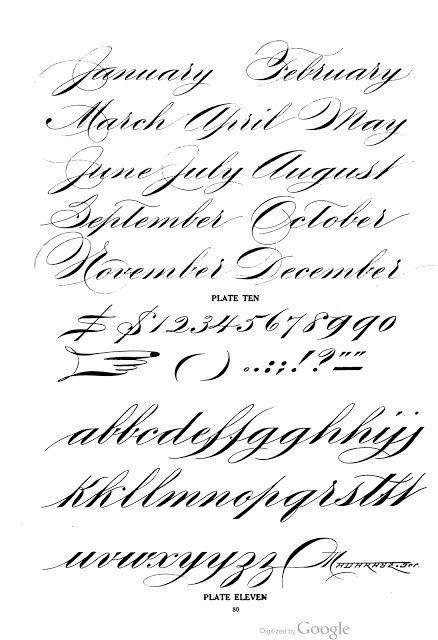 Master Penman, Calligraphy Flourishing, Fancy Cursive Fonts, Calligraphy Copperplate, Penmanship Handwriting, Calligraphy Letters Alphabet, Calligraphy Fonts Alphabet, Alphabet Lettering, Calligraphy Script Fonts