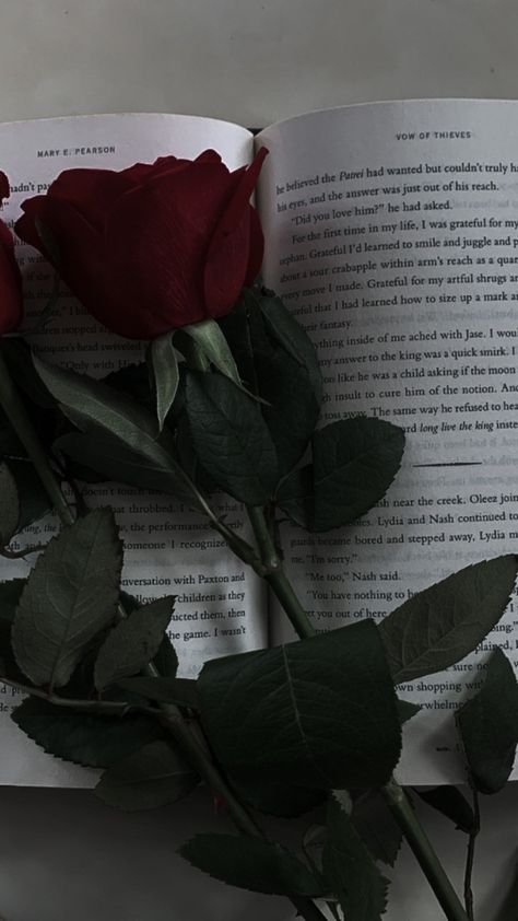 Seni Korea, Red Roses Wallpaper, Dark Red Roses, Rosé Aesthetic, Simple Phone Wallpapers, Nothing But Flowers, Book Wallpaper, Dark Feminine Aesthetic, Flower Therapy