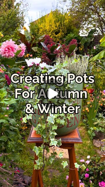 Chris | Gardening & Flowers on Instagram: "Planting Autumn & Winter Plants! 🍂❄️🌱

🌟 I used these lovely beauties for my winter containers…

🌺 Skimmia
🌿 Heather
🌸 Cyclamen
🌱 Variegated Hedera
🌿 Ivy

Have you started your own Autumn/Winter pots? 👀" Winter Container Garden, Winter Potted Plants, Hedera Ivy, Winter Pots, Winter Containers, Winter Container Gardening, Planting Pots, Winter Plants, Gardening Flowers