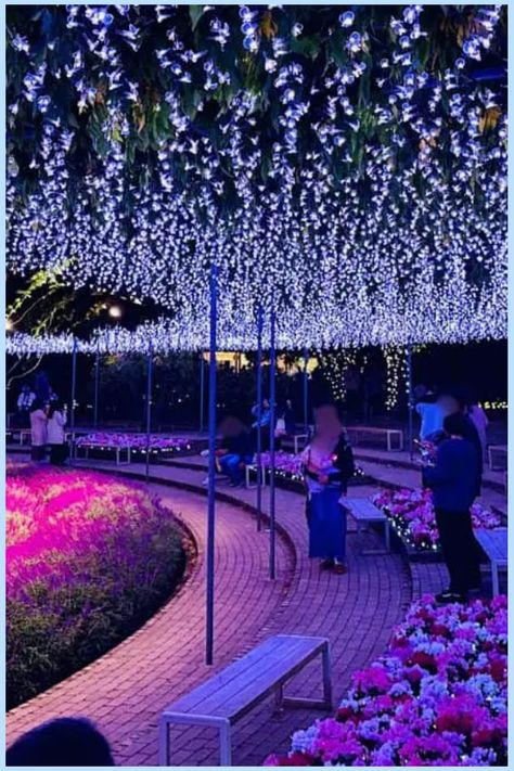 Wondering if Ashikaga Flower Park is worth a visit? Use our guide for insights and tips to help you decide. Don’t miss out on this floral wonderland! Ashikaga Flower Park, Flower Park, One Day Trip, Travel Adapter, Iconic Landmarks, Scenic Landscape, The Trip, Adventure Awaits, Virtual Tour