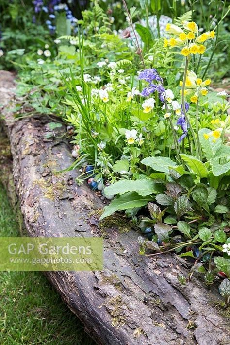 Log Piles Garden, Log Garden Bed, Log Planter Ideas, Log Edging, Log Planter, Garden Wood, Have Inspiration, Planter Ideas, School Garden