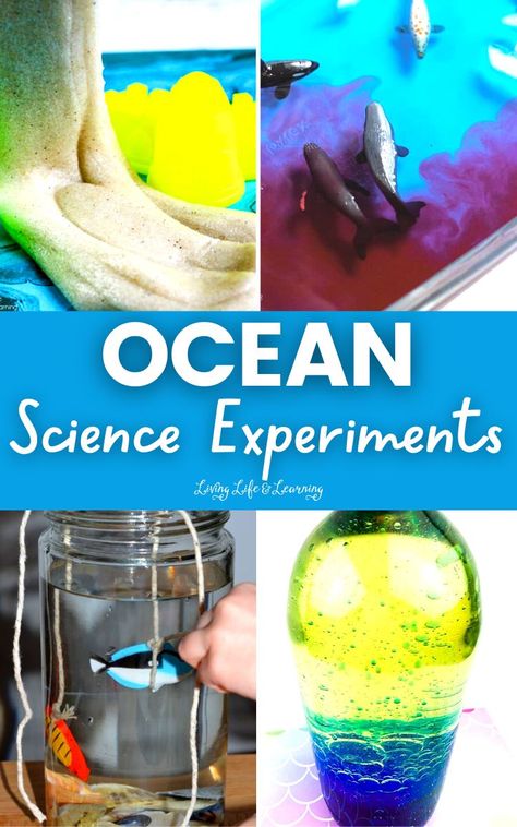 Steam Ocean Activities, Ocean Science Experiments For Kids, Ocean Science Experiments Preschool, Under The Sea Experiments For Kids, Ocean Stem Activities For Kids, Ocean Experiments For Kids, Water Science Experiments For Kids, Ocean Stem Activities, Science Experiments For Elementary