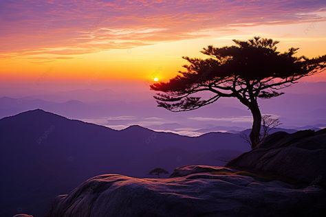 a sunrise at a summit Rock Background, High Resolution Backgrounds, Psd Background, Vector Trees, City Background, Black And White Tree, Landscape Photography Nature, Sunset Nature, Halloween Icons