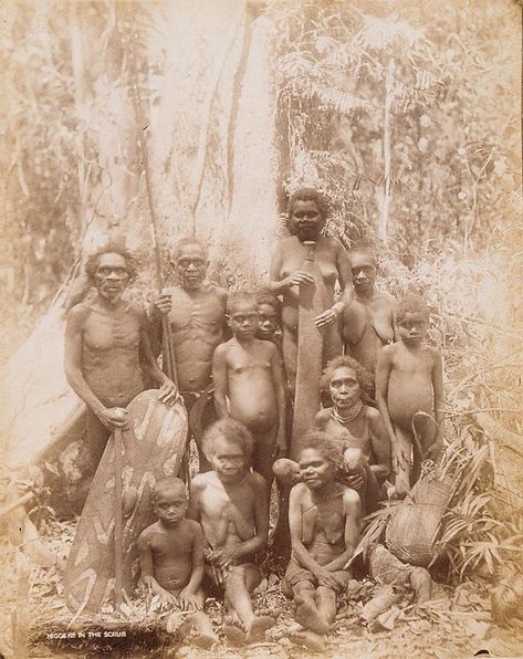 Australian aboriginals ca 1890 location and tribe not known. Aboriginal group pose for white man photo. Queensland Rainforest, Australian Aboriginal History, Indigenous Australia, Australian Aboriginals, Australian Culture, Aboriginal Education, Aboriginal History, Australian Vintage, Australia History