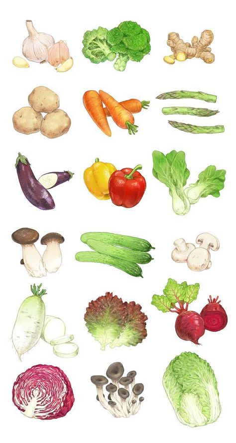 Vegetable Drawing, Vegetable Illustration, Food Sketch, Watercolor Food, Watercolor Fruit, Food Illustration, Food Drawing, Fruit And Veg, Food Illustrations