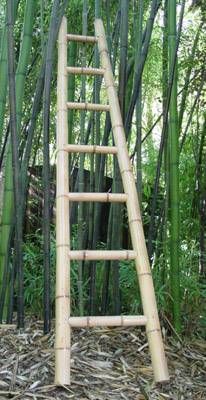 Bamboo Ladder /various heights Cerca Natural, Bamboo Furniture Diy, Bamboo Ladder, Bamboo Ladders, Bamboo Diy, Bamboo Building, Backyard Garden Layout, Rustic Backyard, Bamboo Structure