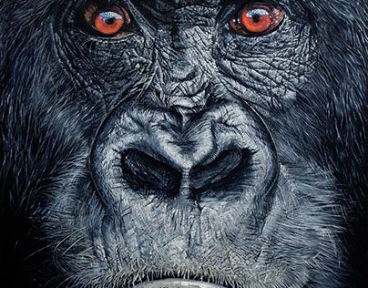 Check out new work on my @Behance portfolio: "Cross River Gorilla - 2017" http://be.net/gallery/48275295/Cross-River-Gorilla-2017 Gorilla Photography, Cross River Gorilla, Wood Burning Patterns Stencil, Gorillas Art, King Kong Vs Godzilla, Old School Tattoo Designs, Cross River, Great Ape, Wildlife Artists