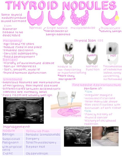 Endocrine System Nursing, Pharmacology Mnemonics, Aesthetic Medical, Medical Notes, Nursing School Essential, Nursing Study Guide, Basic Anatomy And Physiology, Nurse Study Notes, Pa School