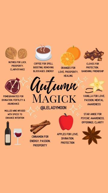 Drinks For Mabon, Mabon Spells And Rituals, Witchy Thanksgiving, Mabon Food, Mabon Feast, Autumn Witchcraft, Mabon Art, Mabon Recipes, Witchy Activities