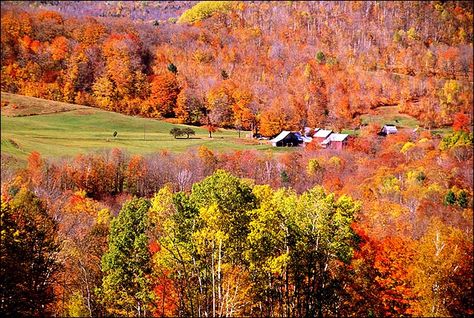 autumn/fall pictures,new england | Photo courtesy of: Mt Washington Valley New England Spanish Fork Utah, Utah Fall, Springville Utah, Fall Foliage Road Trips, Leaf Peeping, White Mountains, Fall Pictures, Fall Foliage, New Hampshire