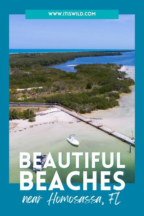 This list of amazing vacation destinations near Homosassa, FL features some of the best beaches in the area. If you live in the Homosassa, Florida area, you'll want to add these vacation destinations to your travel bucket list. These beach locations are beautiful places for family travel, surfing, sailing, and watersports. #seaaesthetic #vacations #vacationideas #vacationdestinations #bestplacestotravelinus Homosassa Springs Florida, Homosassa Florida, Sunny Vacation, Vacation Florida, Springs Florida, Florida Trip, Hollywood Beach, Best Beaches, Florida Vacation