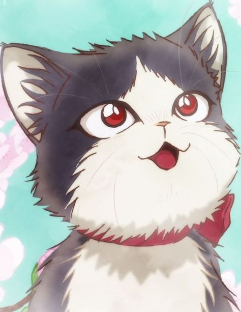 My Roommate Is A Cat, Valkyria Chronicles, Anime Cover Photo, Cute Black Cats, Anime Meme, Cute Cats And Dogs, Cute Cartoon Wallpapers, Me Me Me Anime, Cartoon Wallpaper