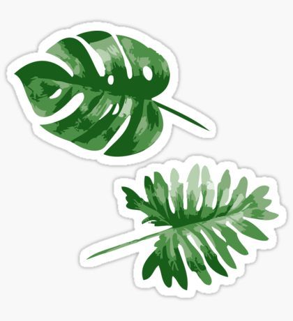 Monstera Sticker, Flamingo Stickers, Foto Transfer, Bubble Stickers, Green Sticker, Stickers Redbubble, Tumblr Stickers, Hydroflask Stickers, Phone Stickers