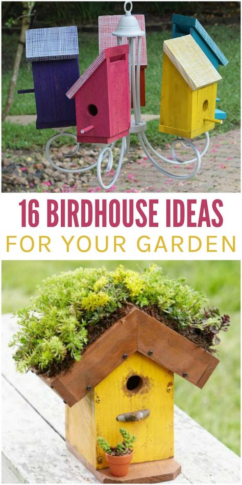 Cute Birdhouse, Backyard Birds Sanctuary, Birdhouse Ideas, Homemade Bird Houses, Bird Houses Ideas Diy, Bird House Plans, Crazy House, Bird House Kits, Bird Aviary