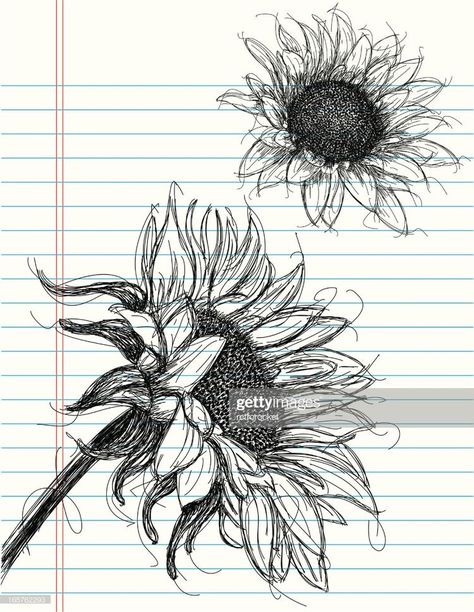 Sunflowers Drawing, Sunflower Sketches, Sunflower Art Print, Sunflower Drawing, Sunflower Tattoos, Flower Sketches, Sunflower Art, Sunflower Painting, Art Et Illustration