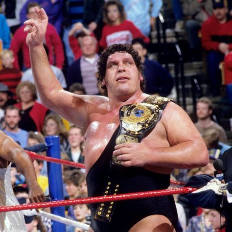 WWF Champion André the Giant André The Giant, Jesse Ventura, Hbo Documentaries, Eddie Guerrero, Professional Wrestlers, Andre The Giant, Wrestling Stars, Wwe Legends, Wrestling Superstars