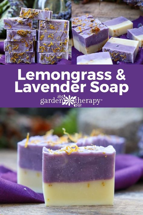 This lemongrass and lavender deodorizing soap tackles tough odours, naturally! With a balanced blend of olive and coconut oil, your hands will feel soft and moisturized, left with only the bright and happy scent of lemongrass! #soap #soapmaking #deodorizing #lavender #lemongrass #essentialoils #handmade #homemade #handsoap #gardentherapy Spring Soap Recipes, Soap Topping Ideas, Lemongrass Soap, Natural Soaps Recipes, Easy Soap Recipes, Herbal Soap, Cold Process Soap Recipes, Handmade Soap Recipes, Garden Therapy