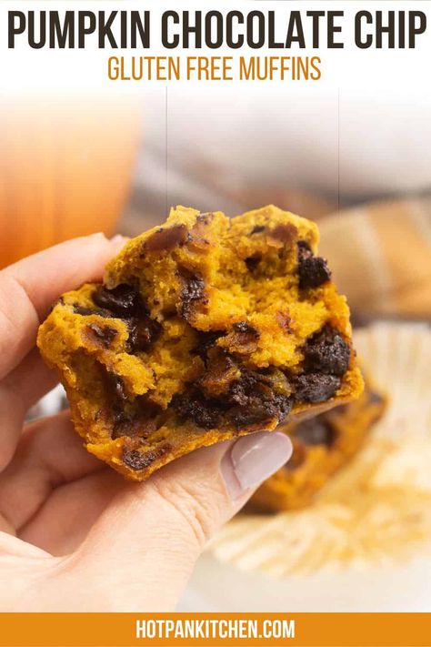 Gluten Free Pumpkin Chocolate Chip Muffins Choclate Chip Muffins, Gluten Free Pumpkin Chocolate Chip, Chocolate Pumpkin Muffins, Gluten Free Pumpkin Spice, Desserts With Chocolate Chips, Gluten Free Pumpkin Muffins, Dairy Free Cooking, Pan Kitchen, Pumpkin Chocolate Chip Muffins