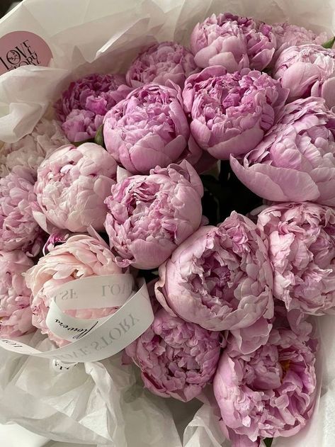 Peonies Aesthetic, Aesthetic Bouquet, Peonies And Hydrangeas, Favourite Flowers, Boquette Flowers, Nothing But Flowers, Peony Flowers, Peonies Bouquet, Flower Therapy