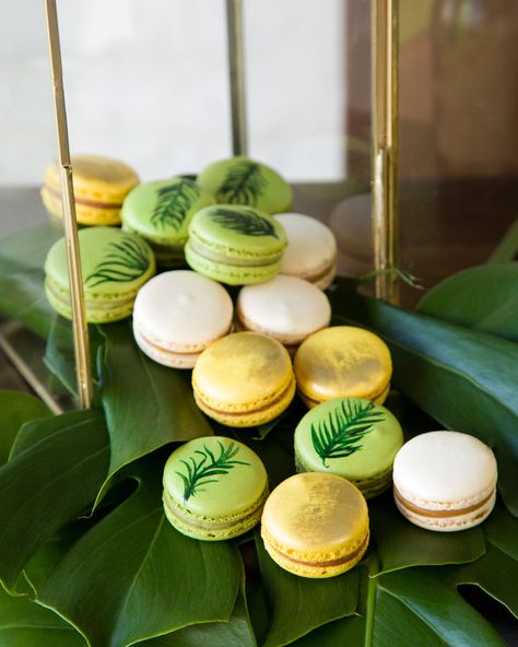 Tropical Macarons, Safari Party Foods, Tropical Wedding Ideas, Desserts Wedding, Wedding Macarons, Tropical Home Decor, Wedding Beach Ceremony, Tropical Theme, Tropical Houses