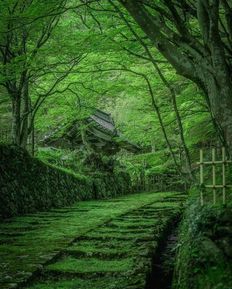 Hyakusai-ji - Shiga Prefecture Shiga, Life Goals, Japan