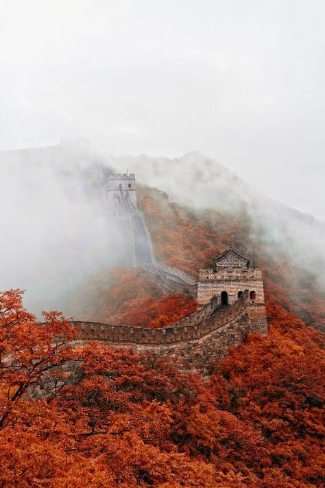 Fall at the Great Wall. Autumn Foliage, Best Family Vacations, Great Wall Of China, China Travel, Great Wall, Places Around The World, Nature Travel, Malaga, Tibet