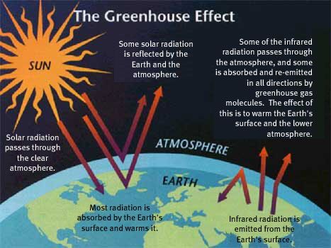 The Greenhouse Effect What Is A Conservatory, Ocean Acidification, Sun And Earth, Greenhouse Effect, Earth Surface, Diy Greenhouse, Chemical Engineering, History Of Science, Green House