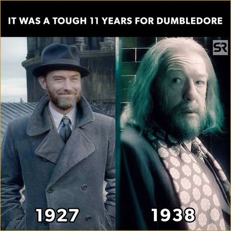 #HarryPotter#WizardingWorld#FantasticBeasts#HogwartsLegacy#AlbusDumbledore#JKRowling#meme#funny#humor#memes#memesdaily#lol#HarryPotterMemes#HarryPotterMeme Glume Harry Potter, Funny Harry Potter Jokes, Sarcastic Jokes, Harry Potter Comics, Harry Potter Jokes, Book Jokes, Harry Potter Marauders, Harry Potter Love, Funny Picture Quotes