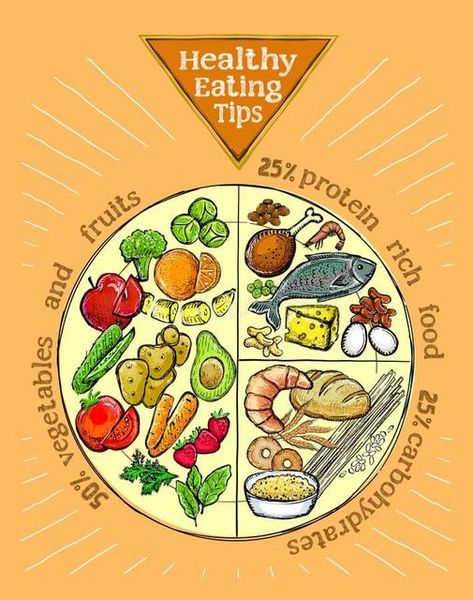 Meal Drawing, Nutrition Plate, Healthy Eating Plate, Plate Drawing, Protein Fruit, Protein Rich Foods, Portfolio Brochures, Eating Tips, Hand Drawn Vector Illustrations