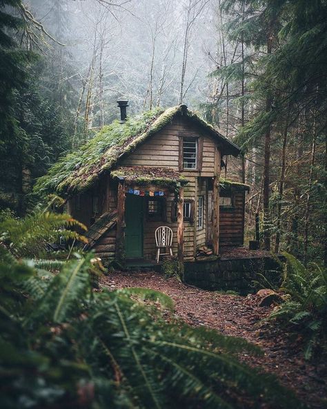 Rad shot by @babytraven 🌲 — Cozy cabins deep in the Pacific Northwestern rainforest 🌧 ⠀⠀⠀⠀⠀⠀⠀⠀⠀⠀⠀⠀⠀ Tag #AllAboutAdventures for a chance to… Hansel And Gretel House, Ecological House, Little Cabin In The Woods, Forest Cabin, Cottage In The Woods, Little Cabin, Small Cabin, Cabin Style, Cabin In The Woods