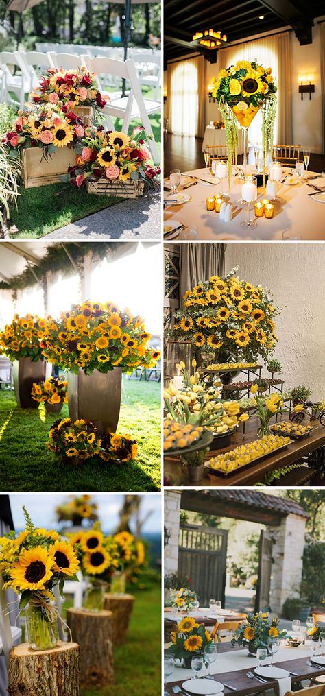 Sunflower Centerpieces Diy Wedding, Backyard Wedding Sunflowers, Sunflower Backyard Wedding, Sunflower Centerpiece Wedding, Head Table Sunflower Wedding, Sunflower Floral Arrangements Wedding, Photo Party Decorations, Sunflower Arrangements Wedding, Sunflower Arch Wedding