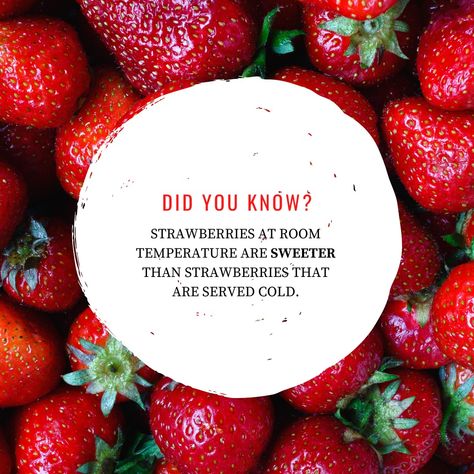 Strawberry Facts, Farm Facts, Did You Know Facts, Fruit Jam, Corn Maze, Food Facts, Facts About, Strawberries, Did You Know