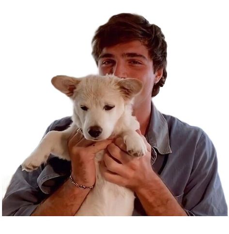 Jacob Elordi with a cute dog. Noah Flynn, Jacob Elordi, Dr Shoes, Kissing Booth, Dylan O'brien, Pretty Eyes, Man Alive, Look At You, Pretty Men