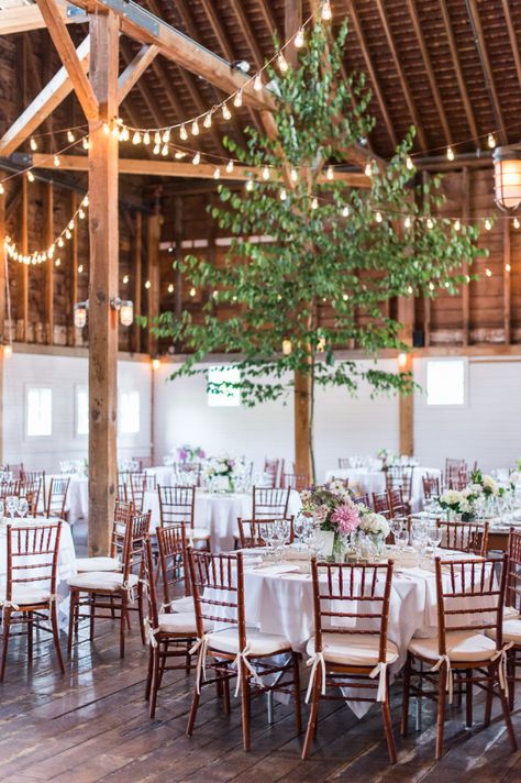 String light farm wedding decor: http://www.stylemepretty.com/2015/12/23/gedney-farm-massachusetts-wedding/ | Photography: Leila Brewster - http://leilabrewsterphotography.com/ Farm Wedding Decorations, Massachusetts Wedding Venues, Wedding Cruise, Unique Wedding Receptions, Rustic Farm Wedding, Smallest Wedding Venue, Wedding Reception Flowers, Farm Wedding Venue, Massachusetts Wedding