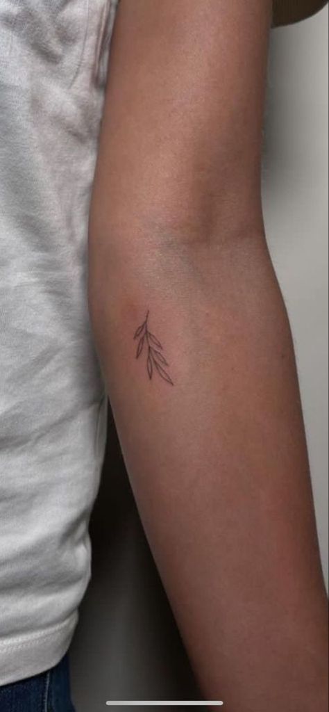 Olive Branch Shoulder Tattoos For Women, Tiny Tattoos Inner Arm, Tiny Tattoos Arm Women, Dainty Branch Tattoo, Tiny Earthy Tattoos, Earthy Fine Line Tattoo, Inner Arm Small Tattoo, Inner Tricep Tattoo Women, Dainty Leaves Tattoo