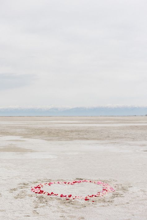 Utah proposal | salt flats proposal | where to propose in Utah | Rose petal heart proposal | Park City Utah Wedding Photographer | Whitney Hunt Photography Utah Proposal, Heart Proposal, Bonneville Salt Flats, Salt Flats, Mountain Bride, Park City Utah, Utah Wedding Photographers, Salt Lake City Utah, Utah Wedding