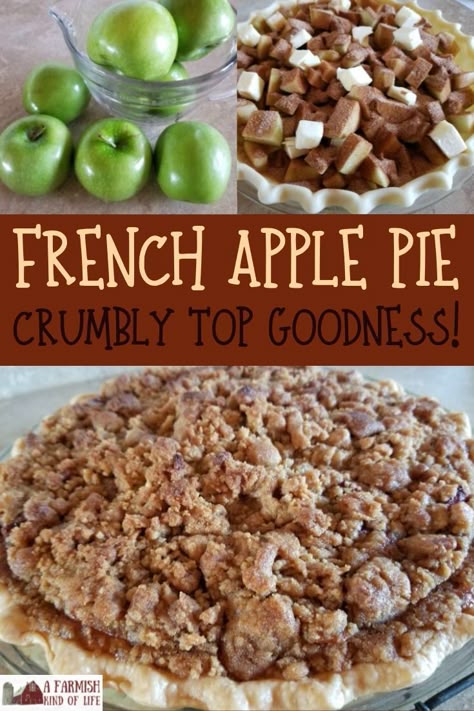 Apples are great, but a French Apple Pie with a crumbly, cinnamon sugar top? That's where the magic is! Here is a simple recipe for a delicious pie -- treat yourself! Dessert Filipino, French Apple Pie, Preparedness Ideas, Dutch Apple Pie Recipe, Apple Crumble Pie, Favorite Pie Recipes, Christmas Appetizer, Crumble Pie, Dutch Apple Pie